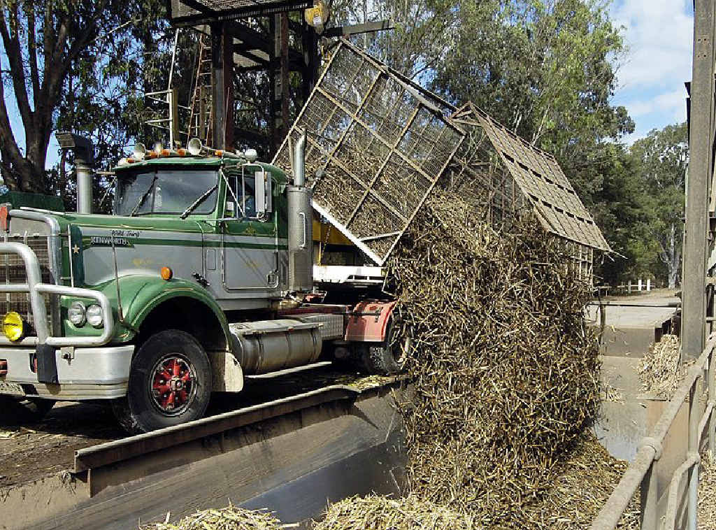 THE NAB Agribusiness Survey showed sugar did well in the past 12 months. THE NAB Agribusiness Survey showed sugar did well in the past 12 months.